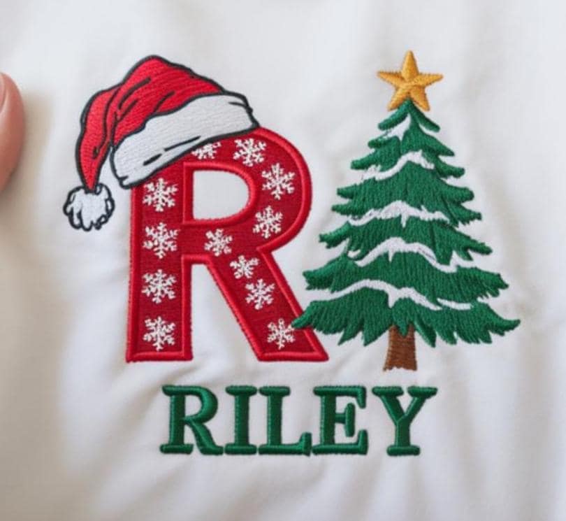 Embroidered Family Christmas Name Sweatshirt, Personalized Santa Hat Monogram Sweater, Custom Christmas Sweatshirt, Family Christmas Hoodie