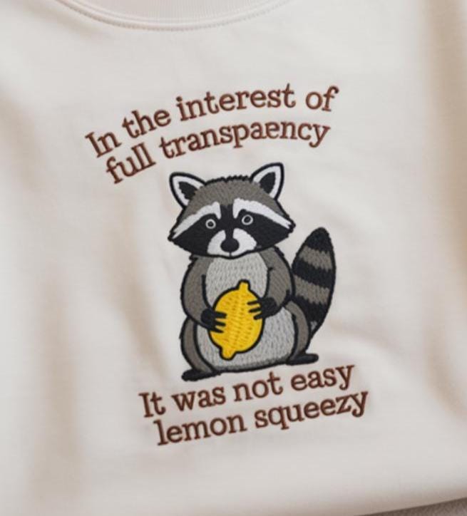 In The Insterest Of Full Transparency Embroidered  Sweatshirt, Funny Raccoon Hoodie, Retro Raccoon Shirt, Sarcastic Sweatshirt, Funny Gift